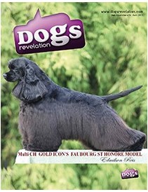 Dogs Revelation N°6