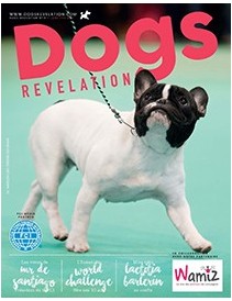 Dogs Revelation N°15