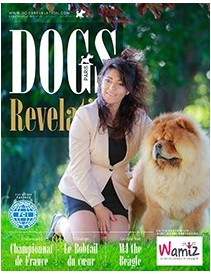 Dogs Revelation N°18