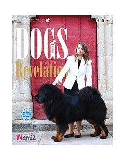 Dogs Revelation N°23