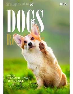 Dogs Revelation N°1