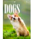 Dogs Revelation N°1