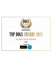 Diplomes Personnalisé