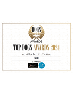 Diplomes Personnalisé