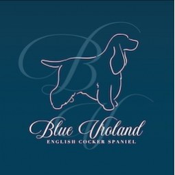 BLUE VROLAND