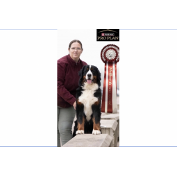 Mme RICHARD Marylene