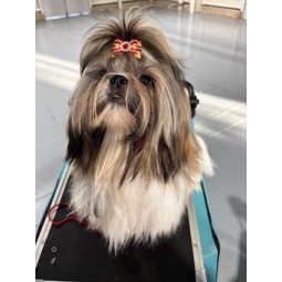 DES AMOURS DE PYRENE