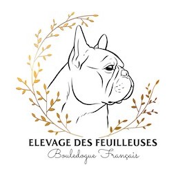 DES FEUILLEUSES